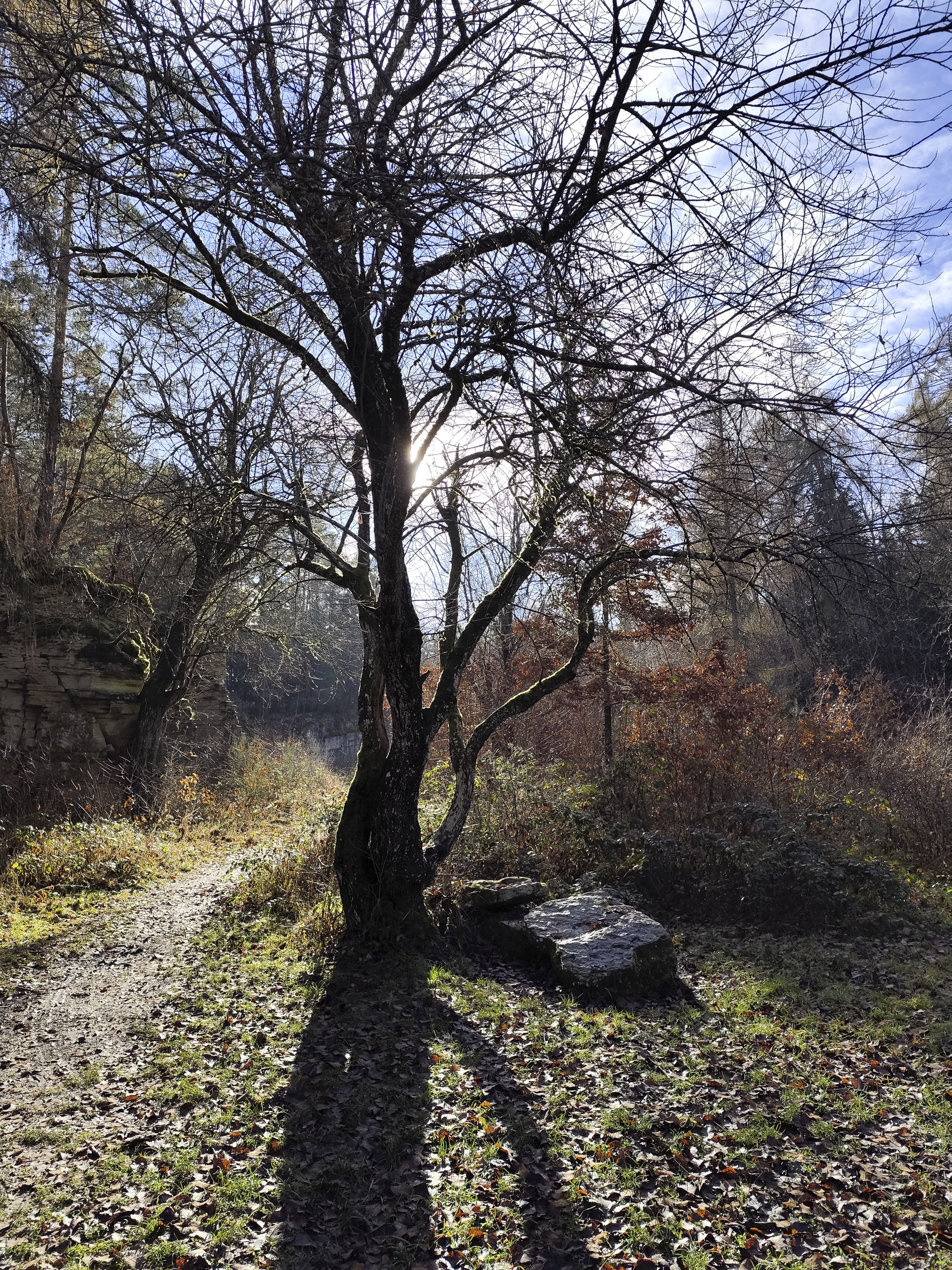 20251129123038 IMG 20251129 123038